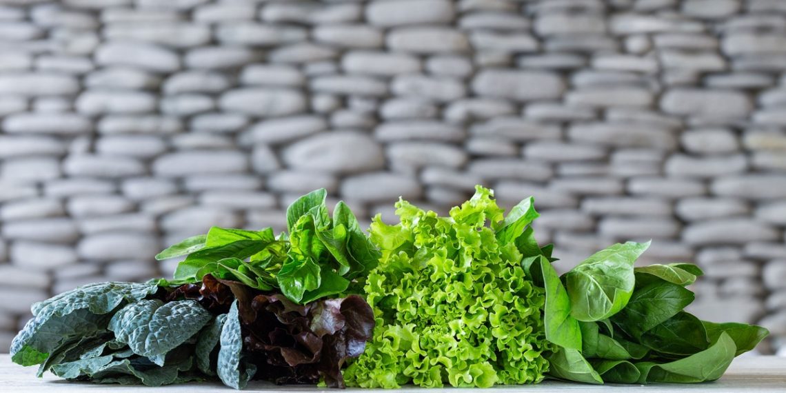 Ranking the Most Nutrient – Dense Leafy Vegetables